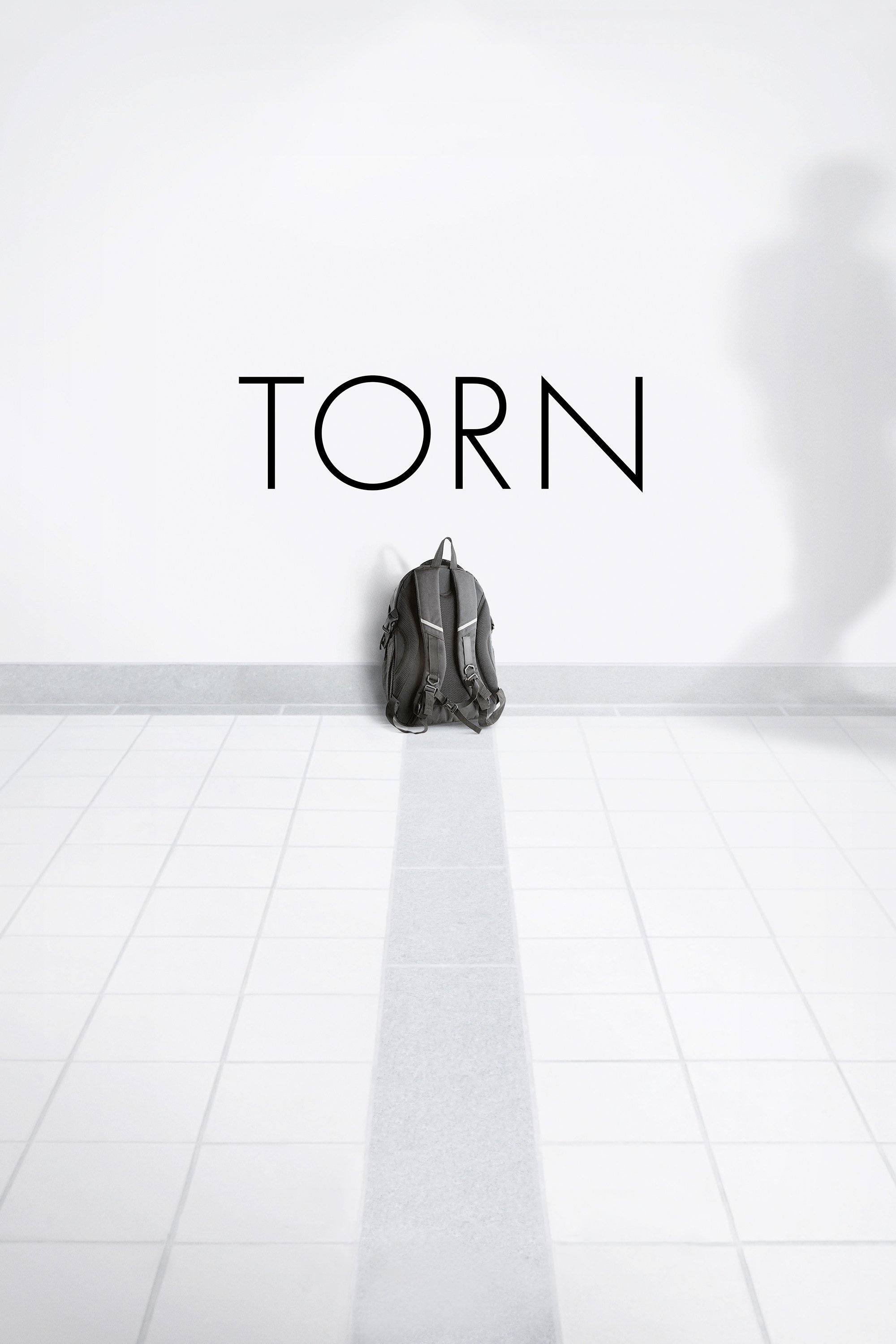 Постер Torn